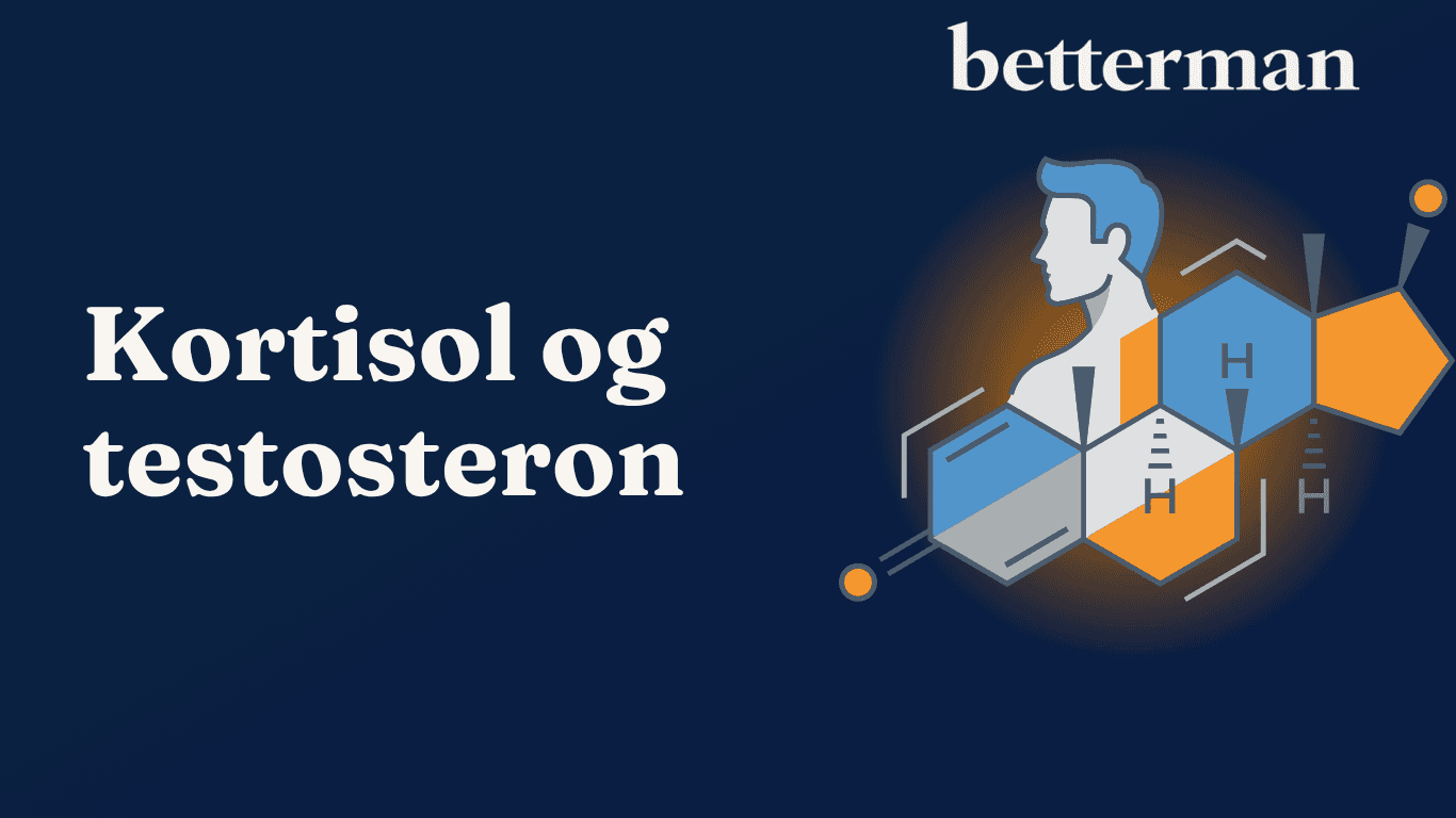 kortisol og testosteron
