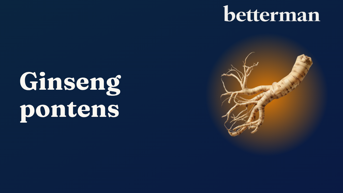 ginseng for potens