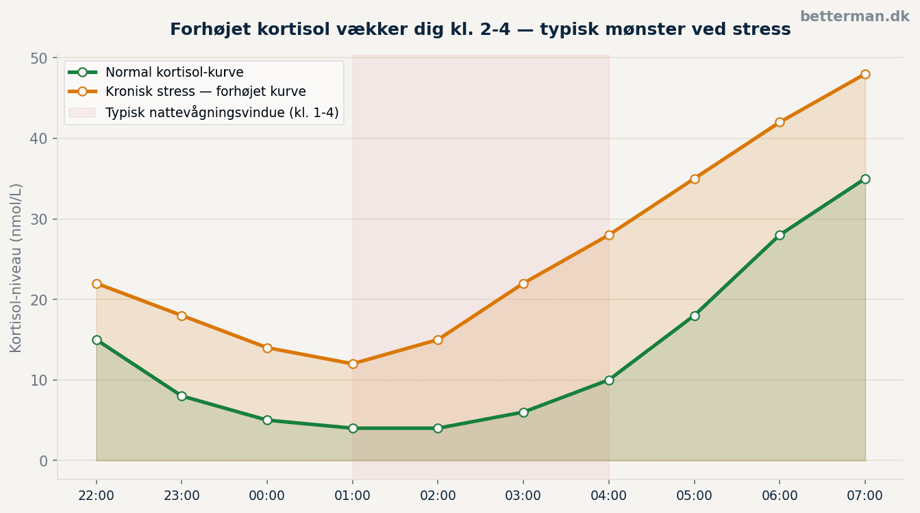 Kan ikke sove om natten — årsager og hvad der virker 2 Linjediagram der viser kortisol-niveau over natten: normal kurve vs. forhøjet kurve ved kronisk stress
