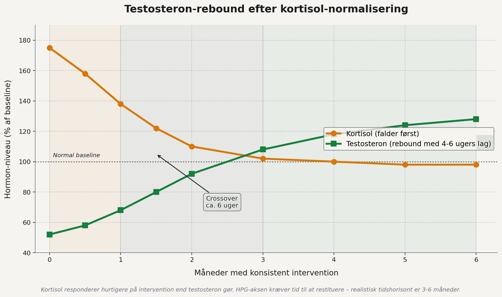 Testosteron-rebound efter kortisol-normalisering – kortisol falder først, testosteron følger med 4-6 ugers lag over 3-6 måneder