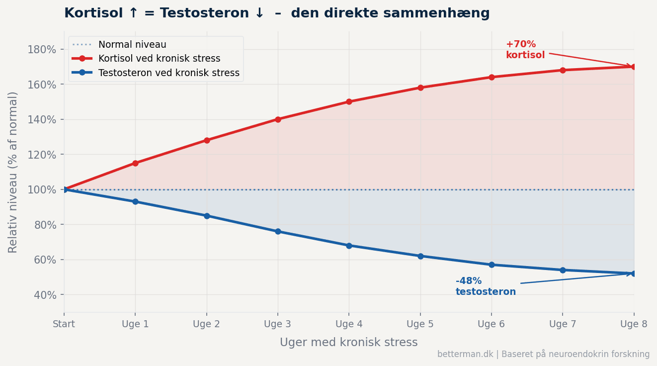 Graf der viser invers sammenhæng mellem kortisol og testosteron ved kronisk stress – kortisol stiger 70% mens testosteron falder 48% over 8 uger