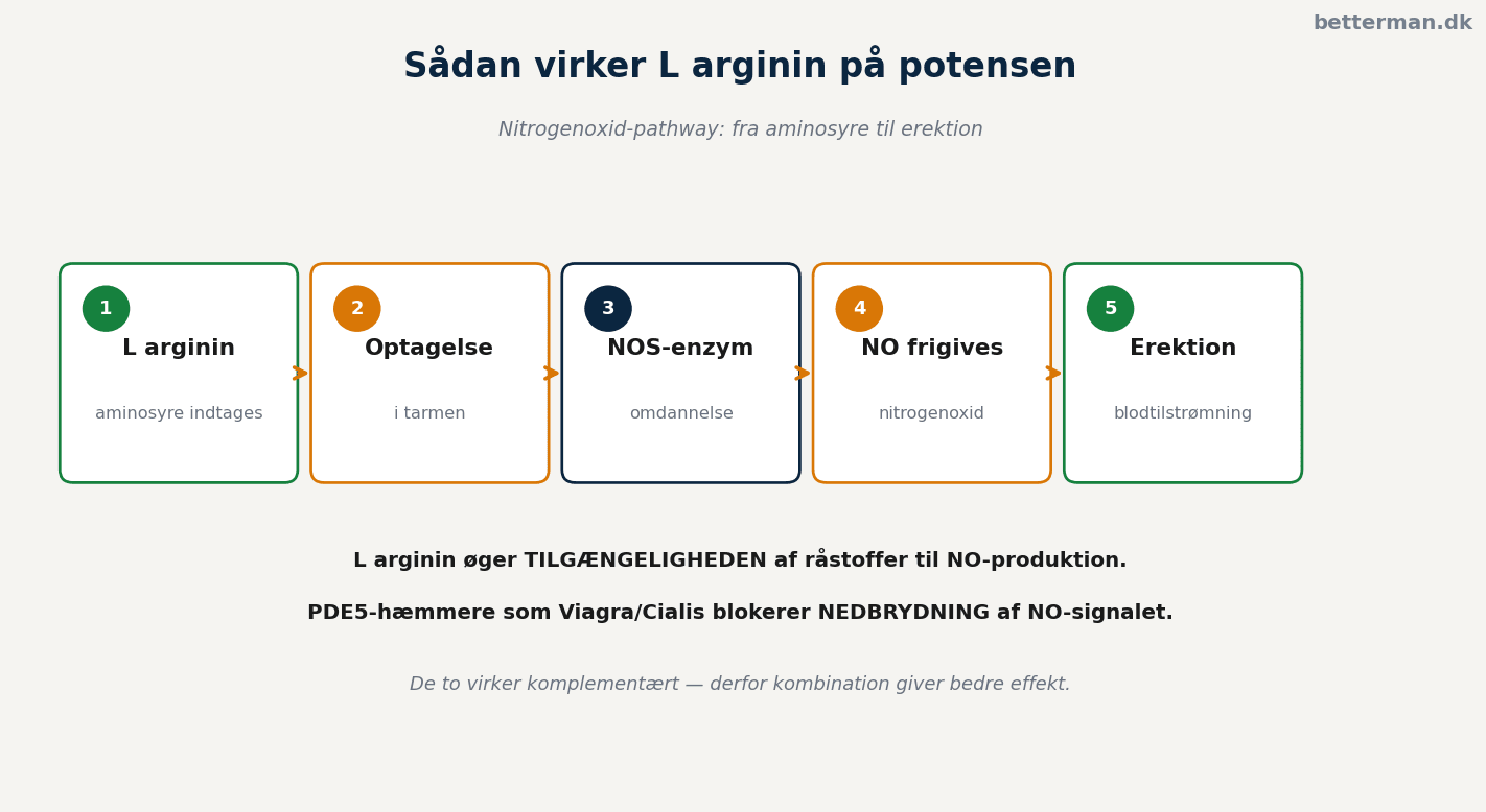 Hvordan L arginin virker på potens via nitrogenoxid pathway