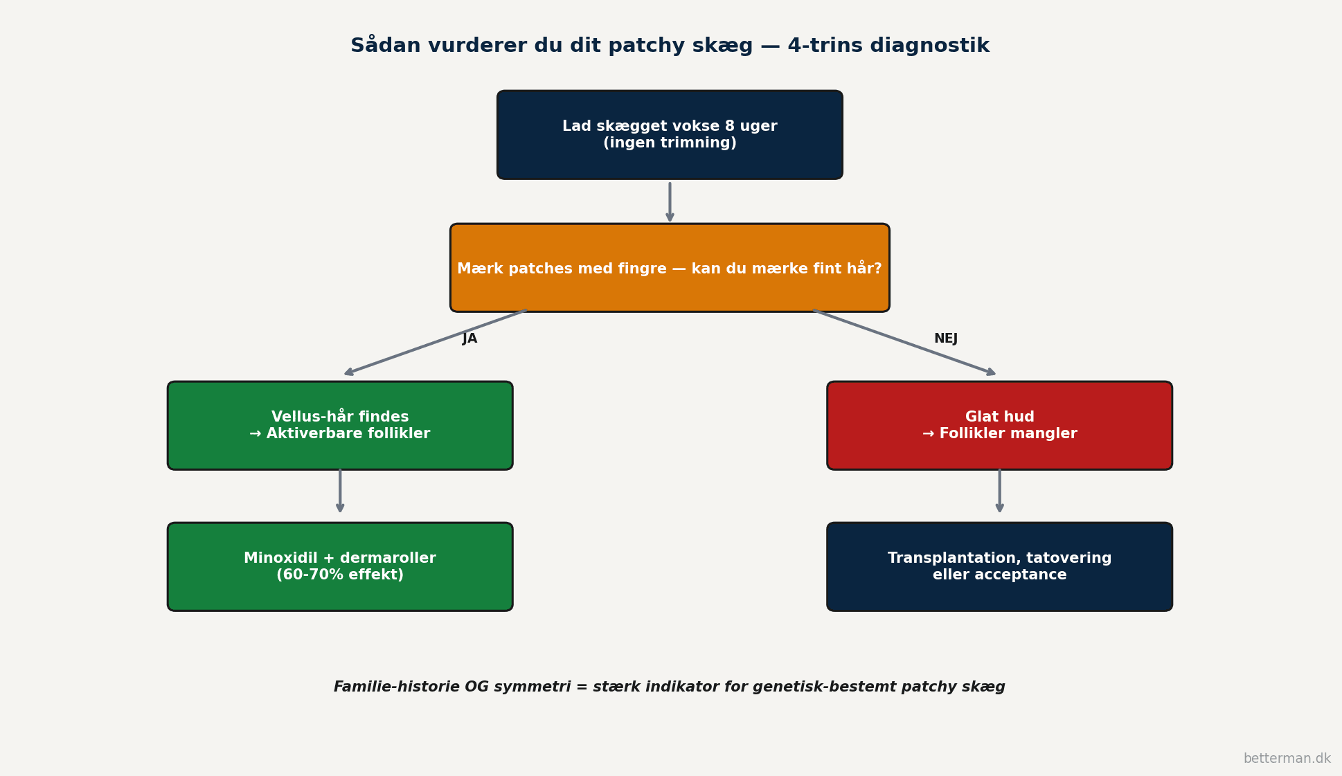 Beslutningstræ-diagram der viser 4-trins patchy skæg diagnostik fra at lade skægget vokse i 8 uger til at mærke efter vellus-hår med to grene hvor vellus tilstede leder til minoxidil-protokol og glat hud leder til transplantation eller acceptance