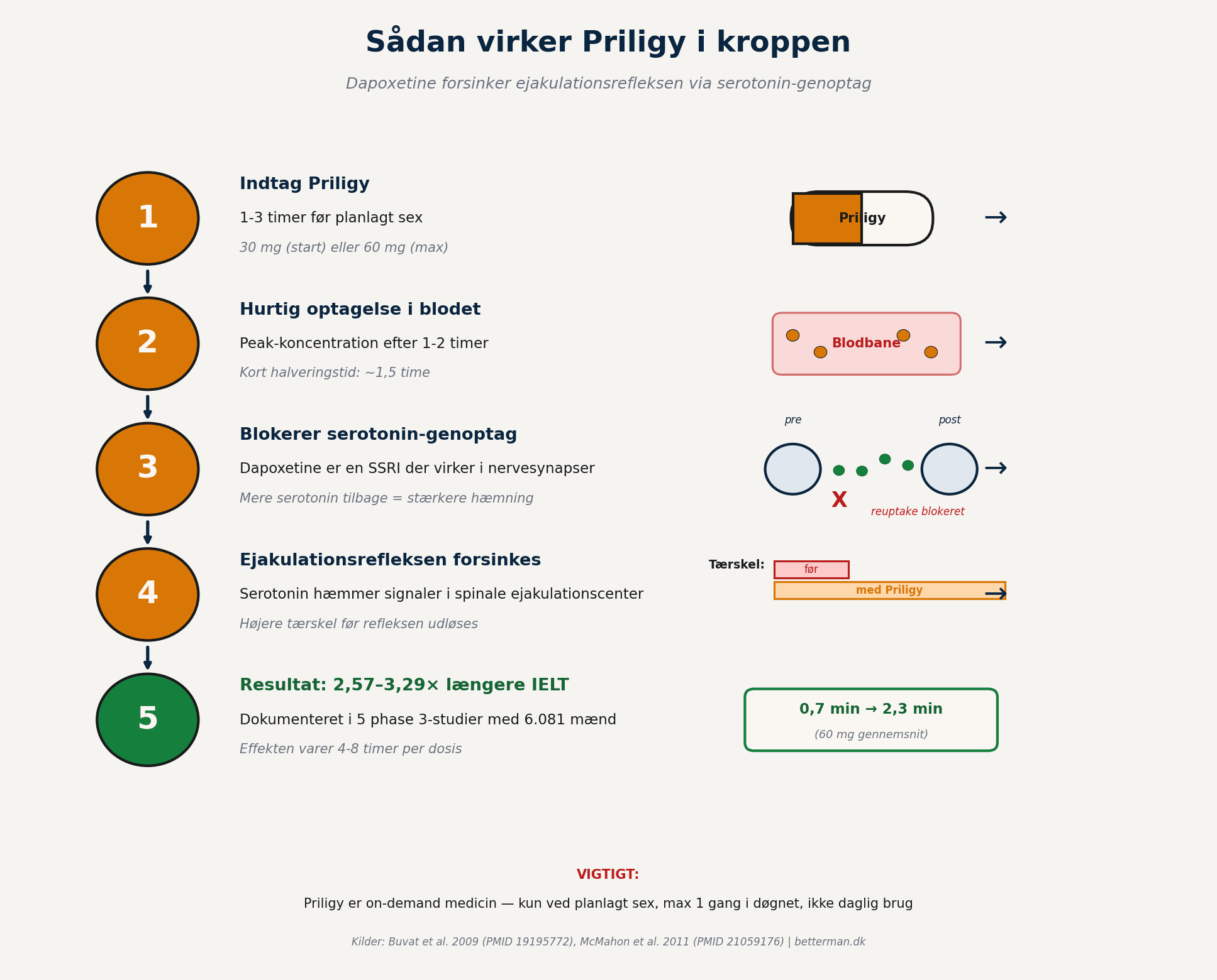Sådan virker Priligy i kroppen — dapoxetine og serotonin-mekanisme