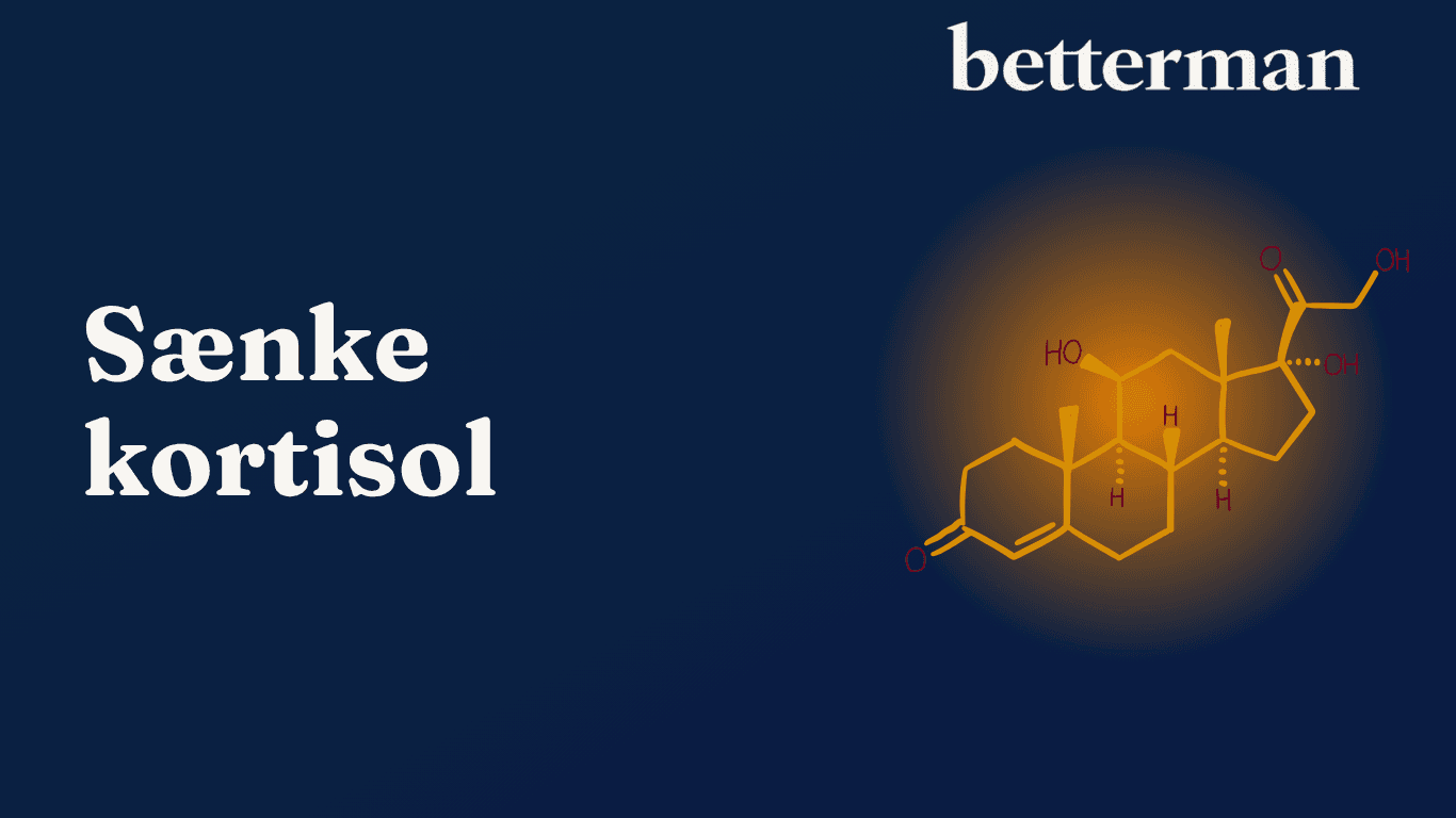 sænke kortisol