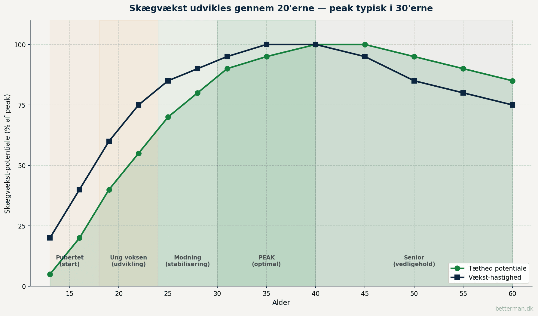 Linje-graf der viser hvordan skægvækst-potentiale og vækst-hastighed udvikler sig fra alder 13 til 60 med peak i 30 til 40 års alderen og gradvis stabilisering efter 40