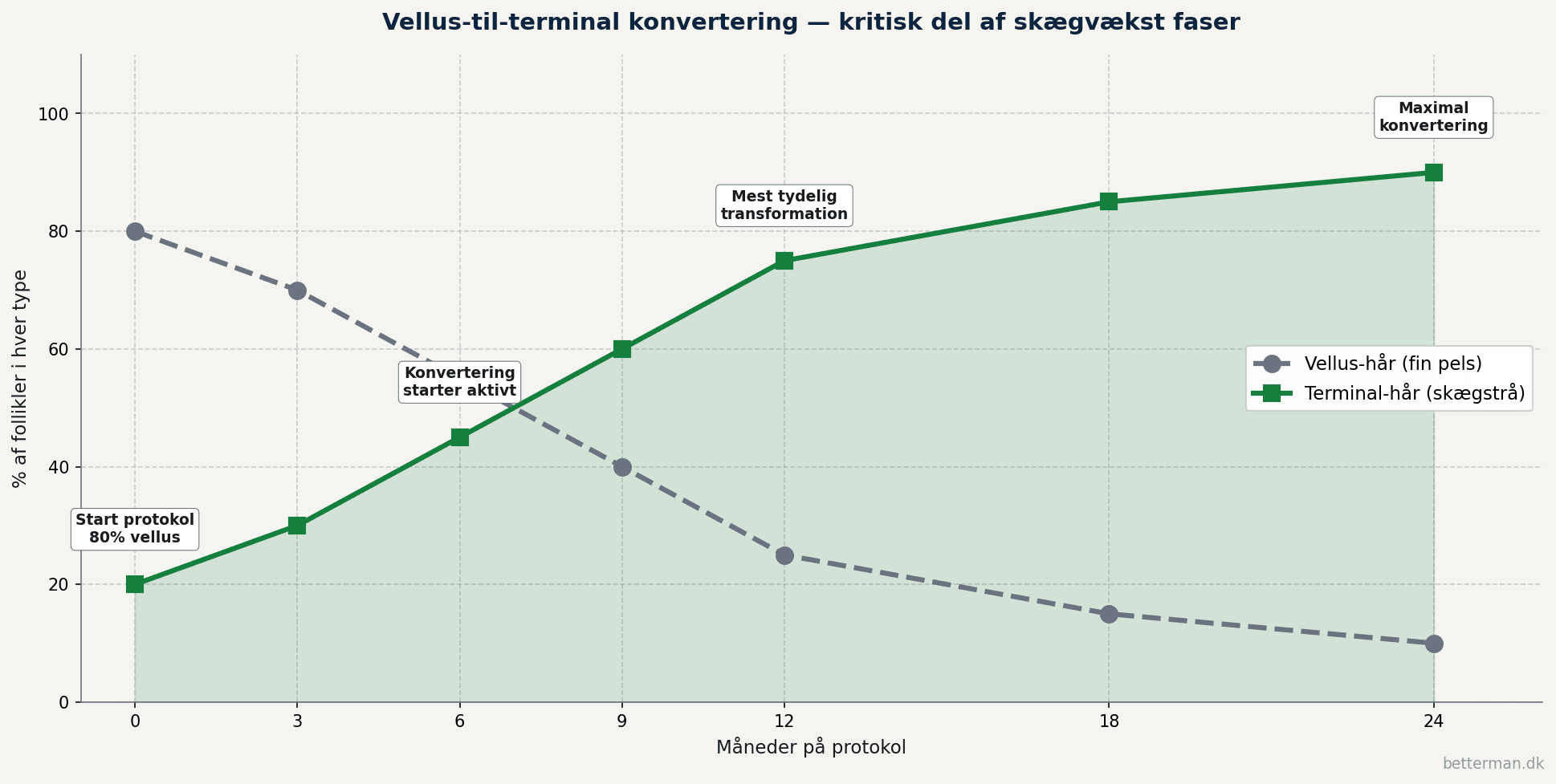 Linjediagram der viser vellus-til-terminal konvertering over 24 måneders protokol hvor vellus-hår falder fra 80 procent til 10 procent mens terminal-hår stiger fra 20 procent til 90 procent