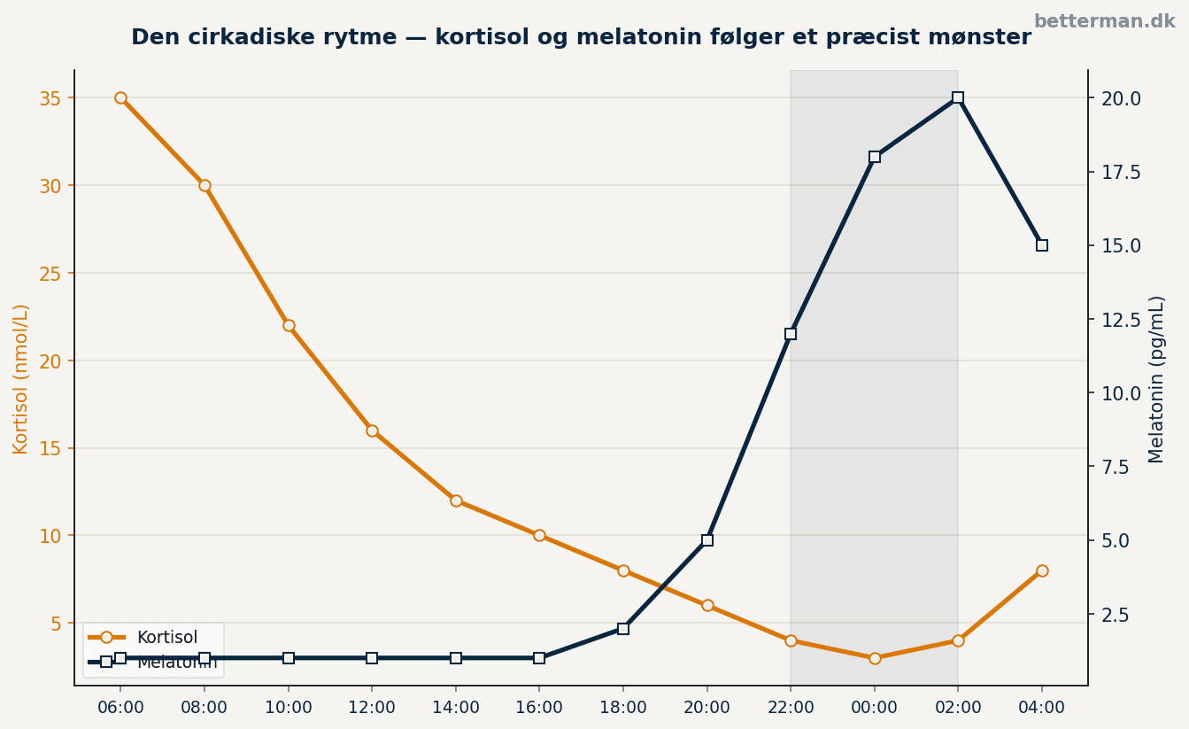 Dobbelt linjediagram over kortisol og melatonin over 24 timer — viser den cirkadiske rytmes præcise mønster