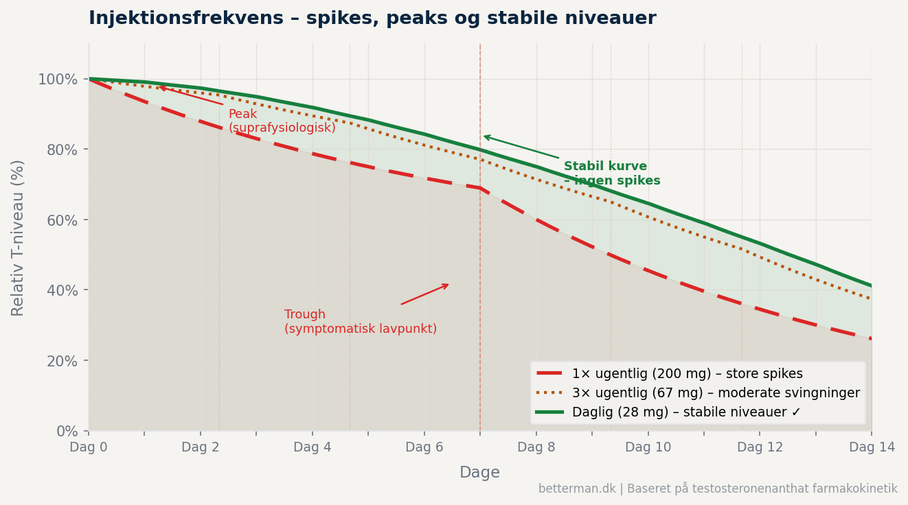 Graf over injektionsfrekvens og testosteron-spikes – daglig injektion viser stabil kurve mod ugentlig injektion med store peaks og troughs