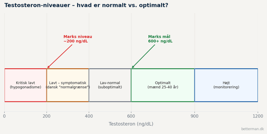 Diagram over testosteron-niveauer fra kritisk lavt til optimalt – Marks niveau markeret ved 200 ng/dL og optimal zone ved 600 ng/dL