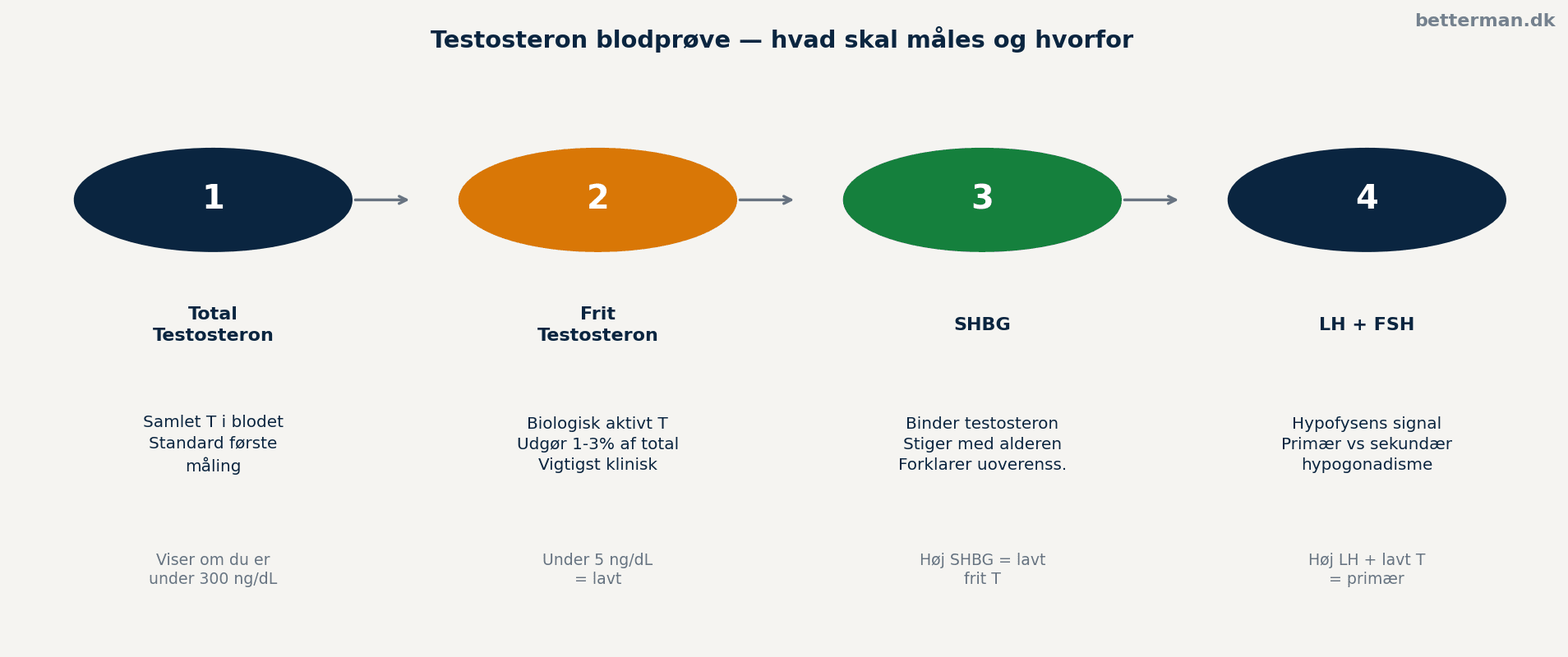 Testosteron blodprøve — hvad skal måles og hvorfor
