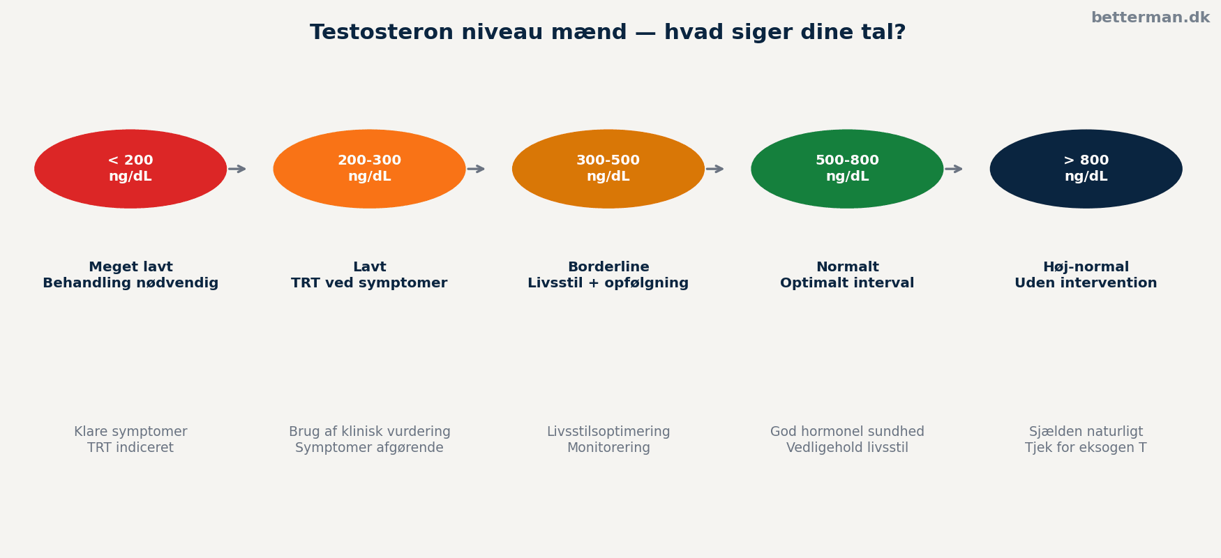 Testosteron niveau mænd — normalområder og hvad tallene betyder